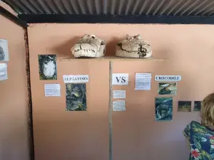Chobe Crocodile Farm