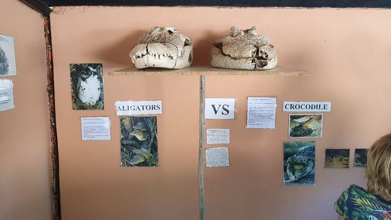 Chobe Crocodile Farm