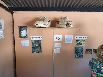 Chobe Crocodile Farm