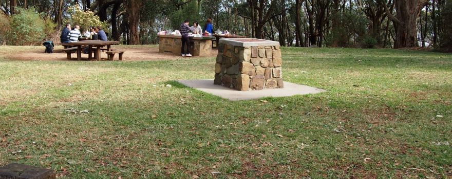 One Tree Hill Picnic Ground