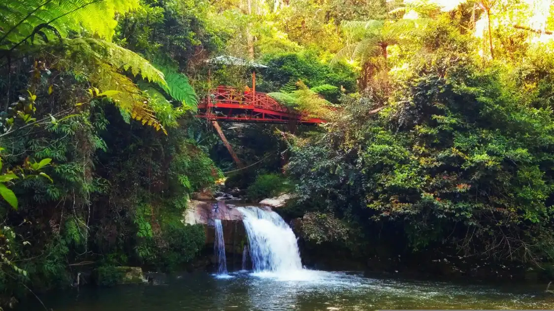 Hotels near Taman Eko Rimba Parit Falls