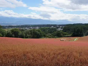 Akasoba no Sato