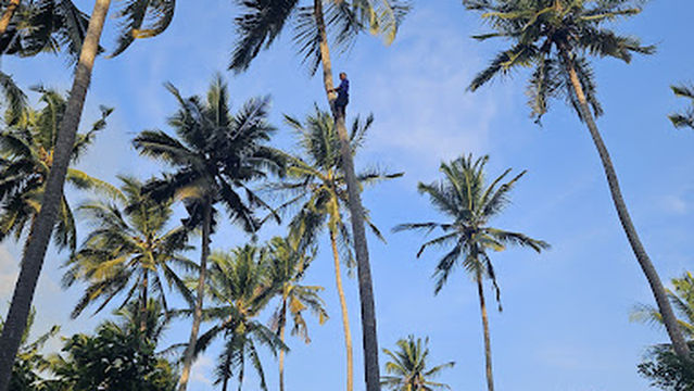 Zanzibar Spice Co. // Bilal Spice Farm, Village Tour and Cooking Class // Authentic and Responsible Tourism