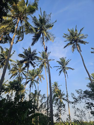 BILAL RESPONSIBLE VILLAGE TOURS