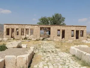 The Great Private Palace of Cyrus