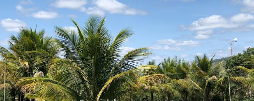 Itaitú Jacobina Bahia