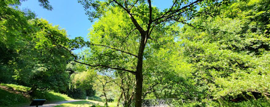 Saltburn Valley Country Park