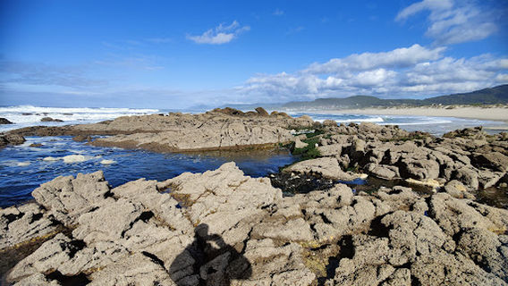 Praia da Arda