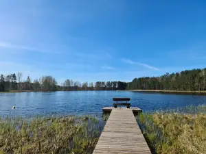 Bilskas ezera dabas taka