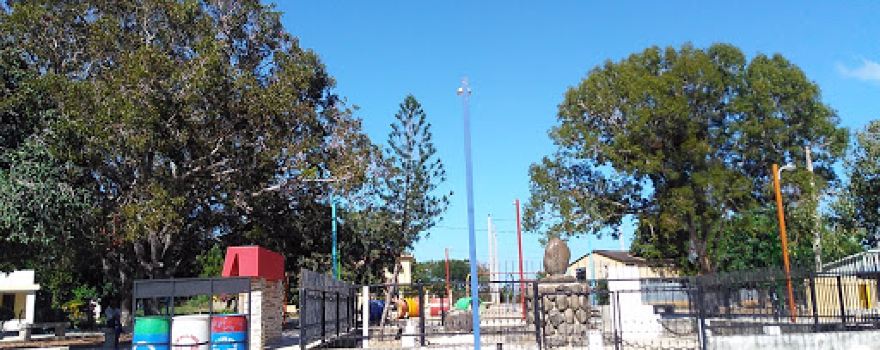 Colonia Japonesa Park