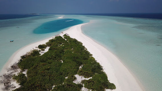 Rasdhoo