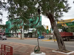 Plaza on February 28