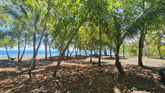 Puerto Jiménez