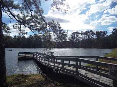 Joe Budd Wildlife Management Area