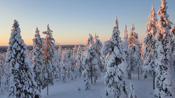 Ounasvaara Winter Trail