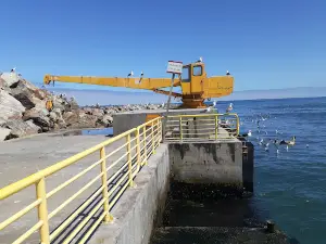 Mirador Bucalemu