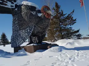 World's Largest Turkey
