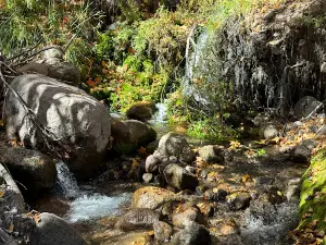 Oak Grove Campground