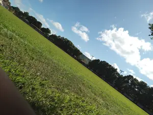 Estádio Moreirão