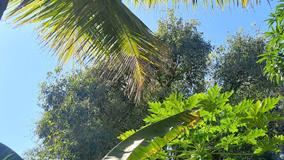 Lorena National Forest