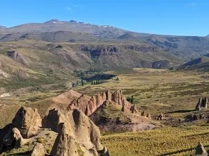 Los Bolillos