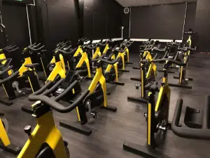 Wellness Studio Älmhult