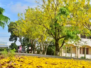 Di Linh Cultural Park