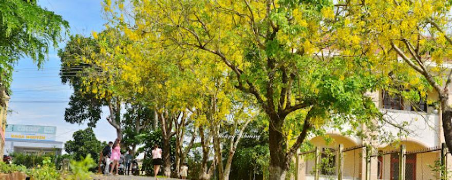 Di Linh Cultural Park