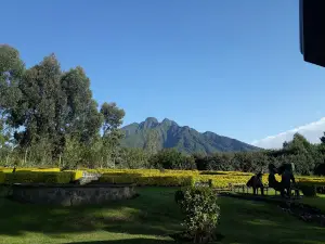 Parc National des Volcans