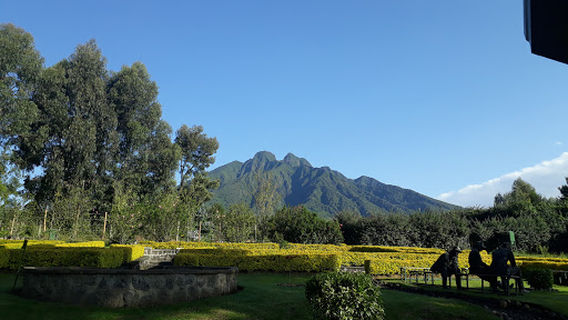 Parc National des Volcans