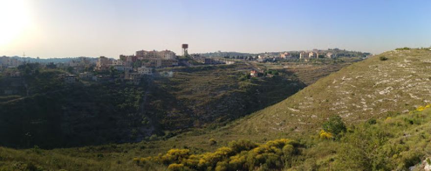 hanash's garden