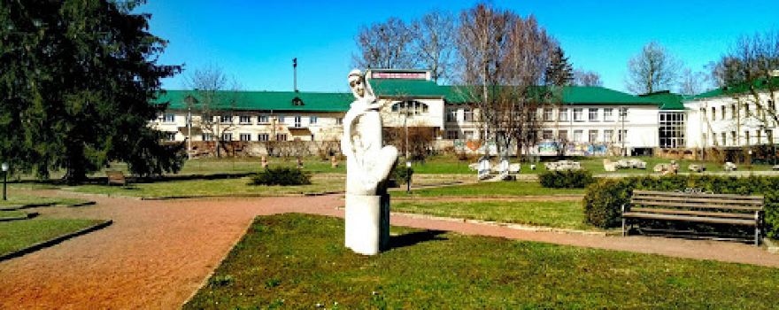 Ostroh Academy