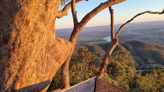 Mount Archer Nurim Circuit Elevated Boardwalk