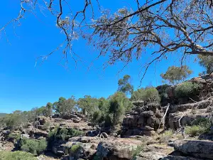 Falcon Falls walking track
