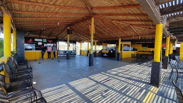 Amigos Activities Los Cabos