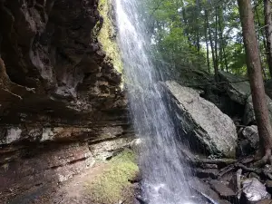 East Fork Stables & Campground