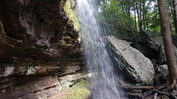 East Fork Stables & Campground