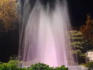 Park