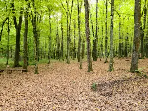 Dobrovnik Energijski Park
