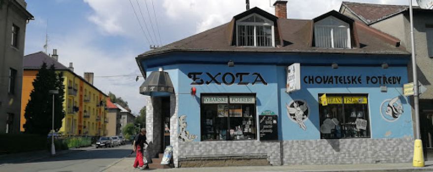 Exota-Jansová Květa
