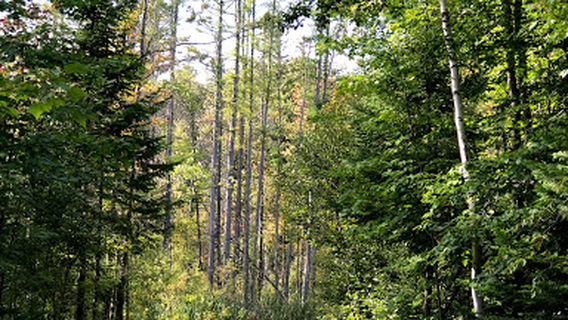 Cliff Park