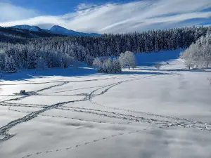 Villard de Lans