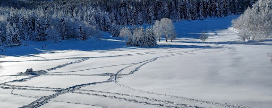 Villard de Lans