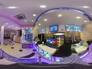 Sk Cinema