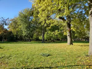 City Park in Grodzisk Wielkopolski