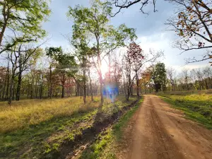 Pench National Park