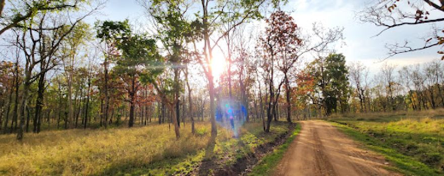 Pench National Park