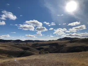 Bears Paw Mountains
