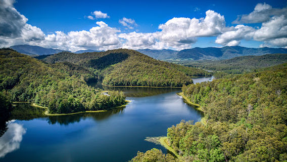 Clarrie Hall Dam