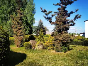 Klesivsʹkyy Dendropark